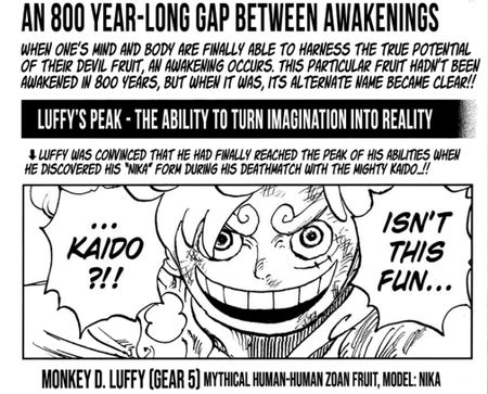 luffy new power explain