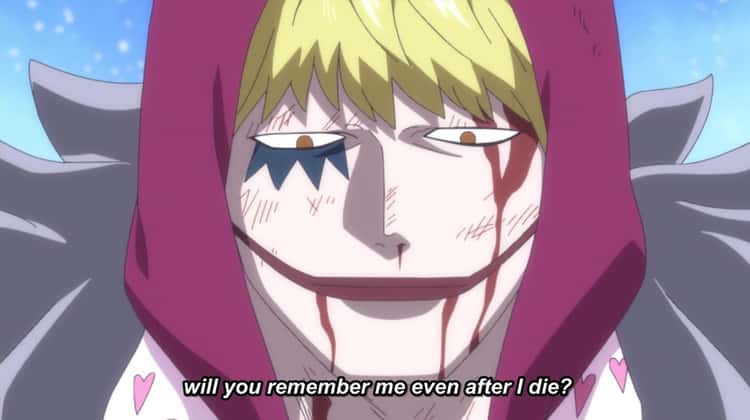 Corazon One Piece!