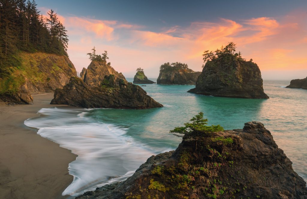 The Pacific Northwest Coast